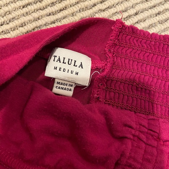 Talula Aritzia Tube Top - Picture 3 of 3